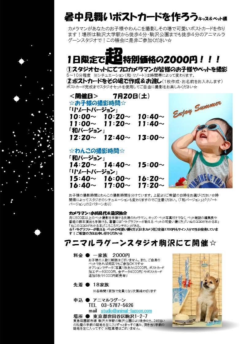 一日限定w