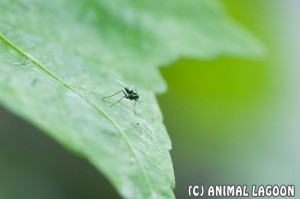 IMG_7303w