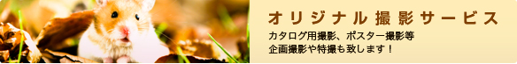 オリジナル撮影サービス