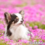 IMG_3202w