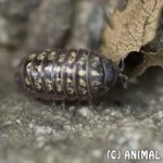 IMG_3376w