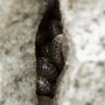 IMG_3430w