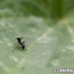 IMG_1070w