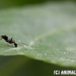 IMG_1377w