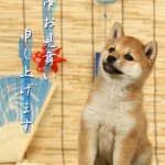 summer_card1w
