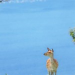 WSH0140716_2380w