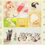 2017cal_9995w