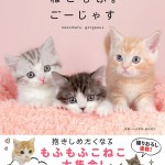 cover_w